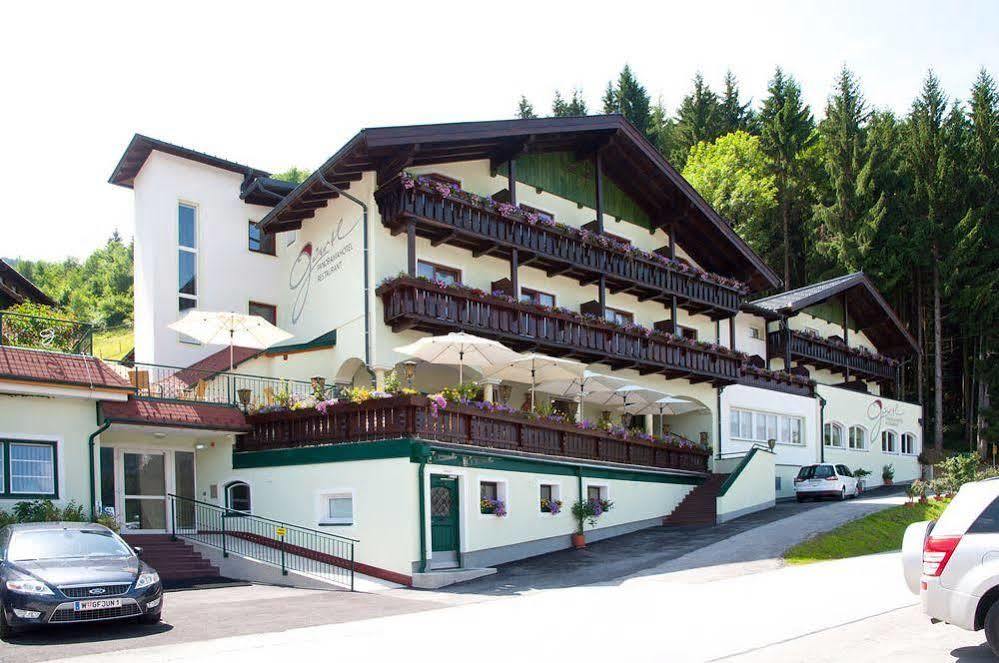 Panoramahotel Guertl Гаус-ім-Енншталь Екстер'єр фото